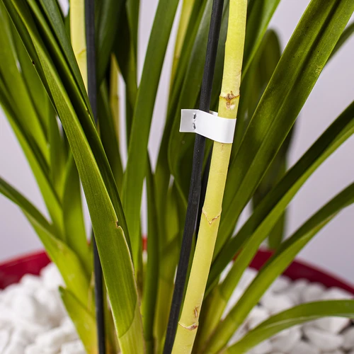 Klambrid aiandusklammerdajale - 10000 tk. - 6