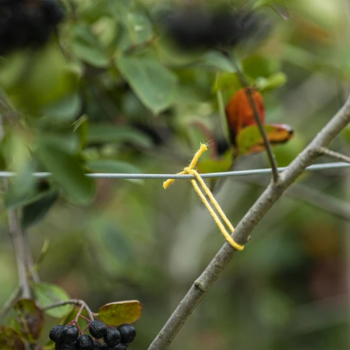 Kollane puuvillane nöör 2 mm/55 m/100 g - 7