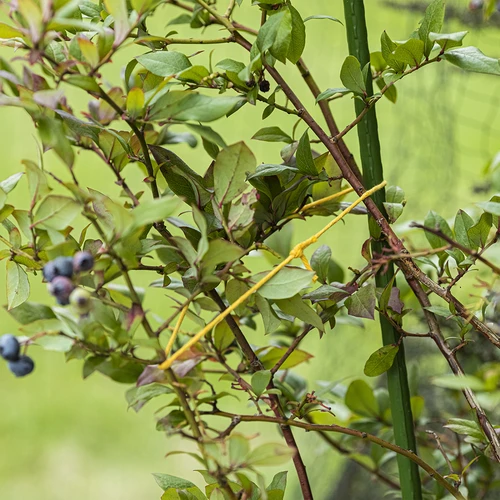 Kollane puuvillane nöör 2 mm/55 m/100 g - 8