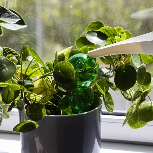 Kolmekambriline kastmispall, läbipaistev roheline, 600 ml - 6