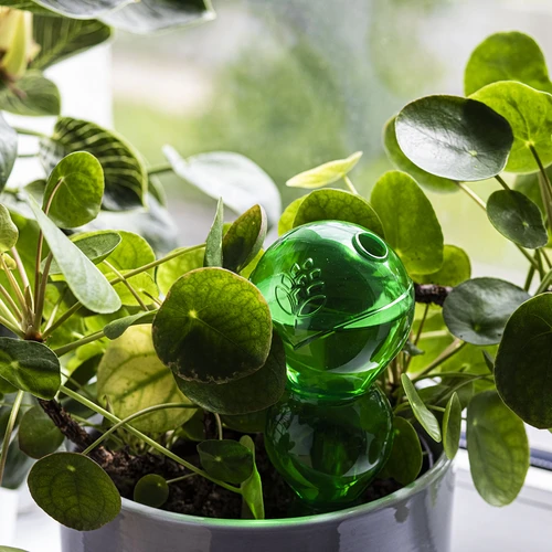 Kolmekambriline kastmispall, läbipaistev roheline, 600 ml - 7