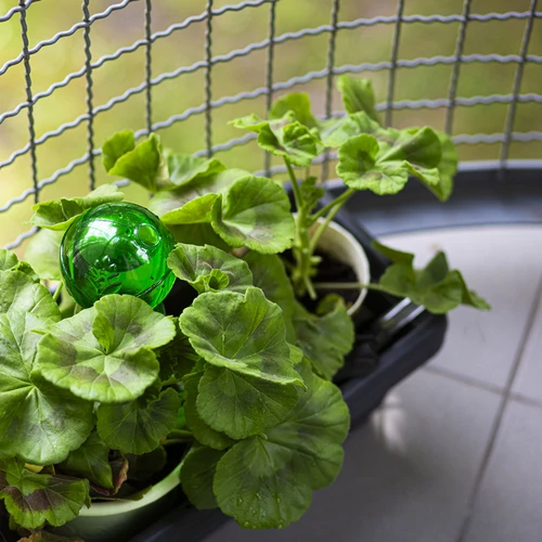 Kolmekambriline kastmispall, läbipaistev roheline, 600 ml - 8