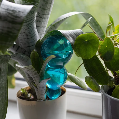 Kolmekordne (kolmekambriline) kastmiskera, läbipaistev sinine, 600 ml - 6