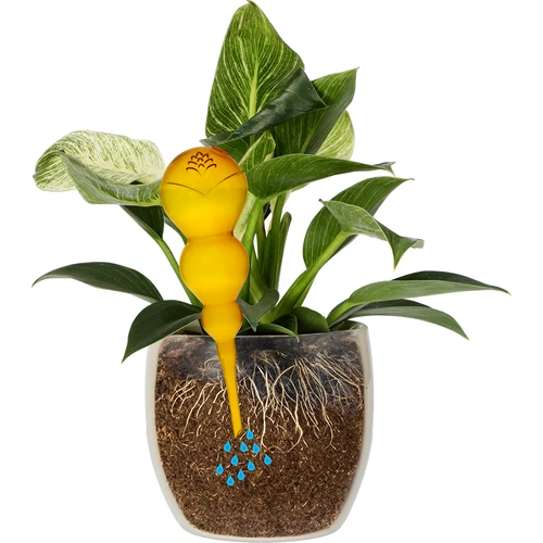 Kolmene (kolmekambriline) kastmispall, läbipaistev kollane, 600 ml - 3