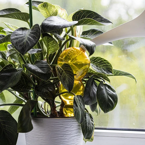 Kolmene (kolmekambriline) kastmispall, läbipaistev kollane, 600 ml - 6