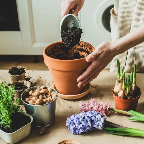 Kookospähkli aktiivsüsi taimedele 0,9 L - 7