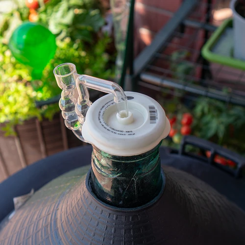 Kork / kate kitsaka kaelaga damidžaanidele fi 75 mm - 4