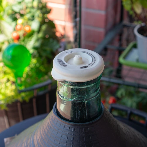 Kork / kate kitsaka kaelaga damidžaanidele fi 75 mm - 3