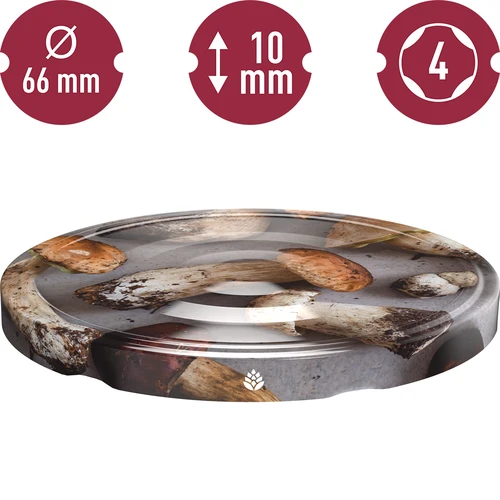 Kruvikaas fi 66 seened 2 - 10 tk. - 3