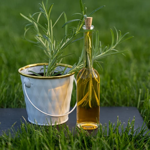 Likööripudel 100 ml, 6 tk + 6 korke - 10