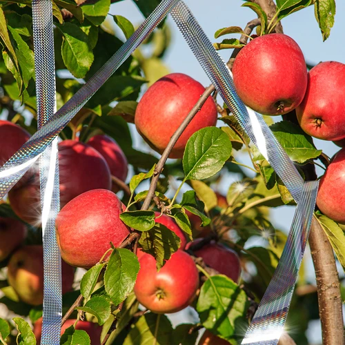 Lindude peletaja - helkiv lint, 80 m - 10