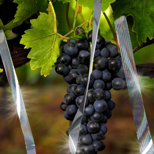 Lindude peletaja - helkiv lint, 80 m - 11