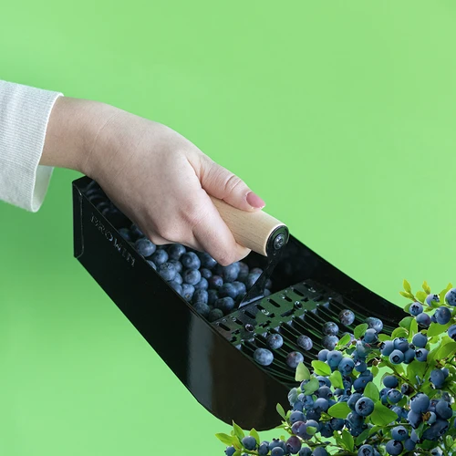 Marjakamm väikeste marjade jaoks, metallist, must - 8