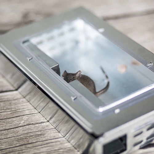 Metallist hiirelõks - eluspüünis - 8