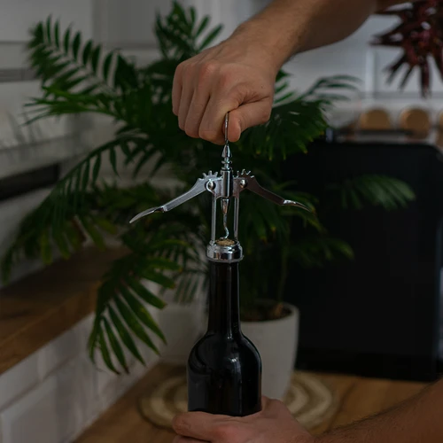 Metallist korgitser - traditsiooniline - hõbedane - 4