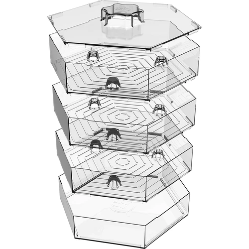 Mitmekihiline idandaja Niezłe Ziółko rediseseemnetega - 7