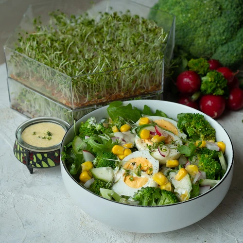 Mitmekihiline idandaja Niezłe Ziółko rediseseemnetega - 13