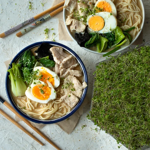 Mitmetasandiline idandaja Niezłe Ziółko + 10 pakki seemneid - 19