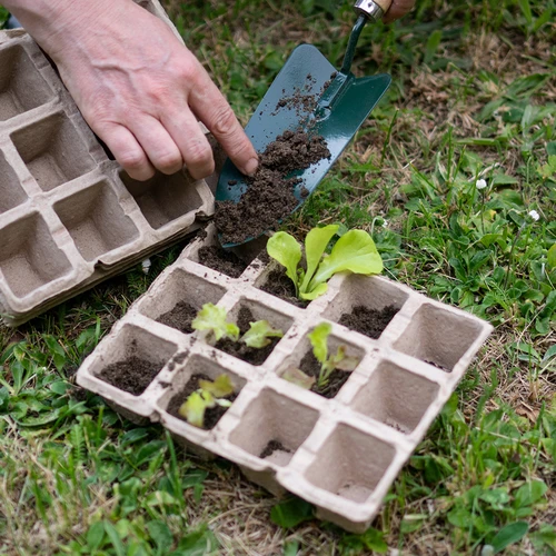 Paberist istutuspotid 4,5 x 5 x 4,5, komplekt 5 tk. - 5