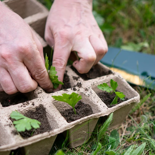 Paberpotid 6 x 6 x 6, komplekt 5 tk. - 6