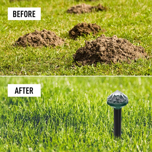 Päikeseenergial töötav mutipeletaja LED-lambiga - 12