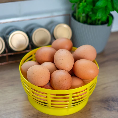 Plastikkorv Dam 5 l jaoks, kollane - 8