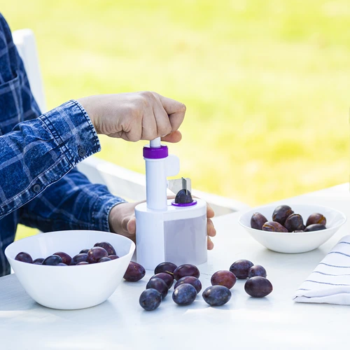 Ploomikivieemaldaja - 3