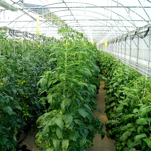 Polüpropüleennöör 1 mm/65 m/50 g - 5