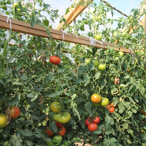 Polüpropüleennöör 1 mm/65 m/50 g - 7