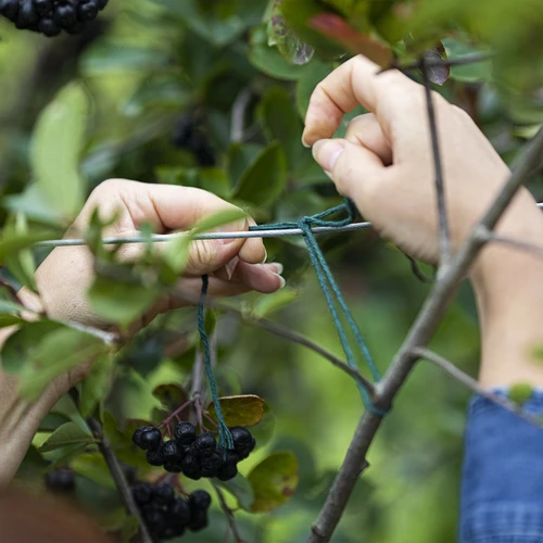 Roheline puuvillane nöör 2 mm/55 m/100 g - 7