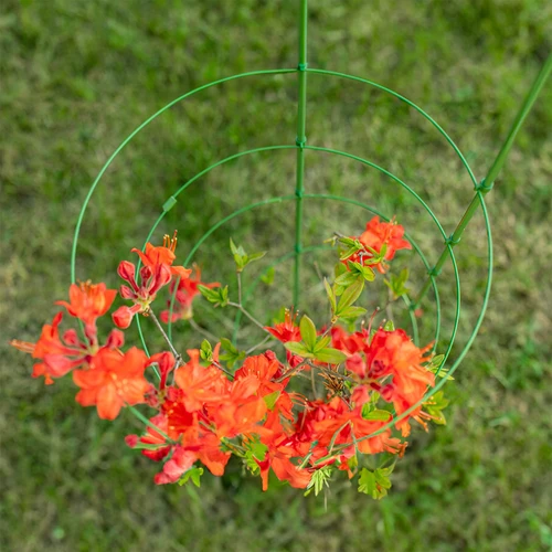 Rõngastikuga taimetugi, 4 rõngaga, 1 m - 5