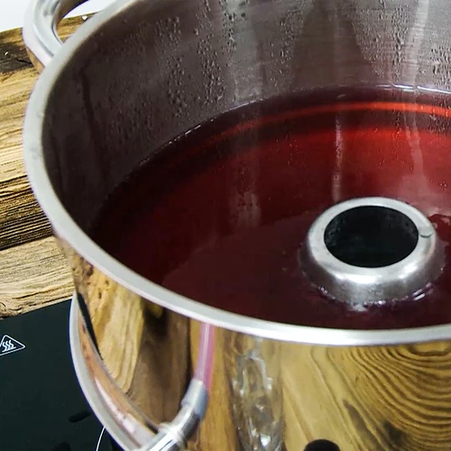 Roostevabast terasest aurutajaga aurumahlapress 5 L - 16