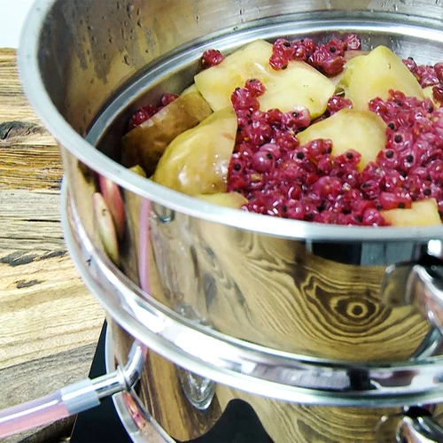 Roostevabast terasest mahlapress 8 L - 15