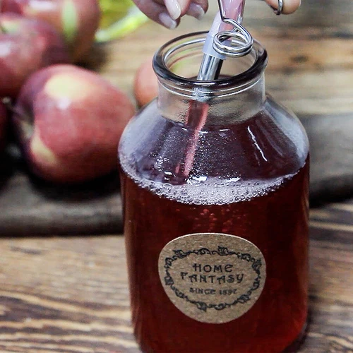 Roostevabast terasest mahlapress 8 L - 16