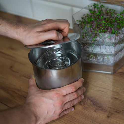 Sinkikeetja - Perepidu 3 kg - 12