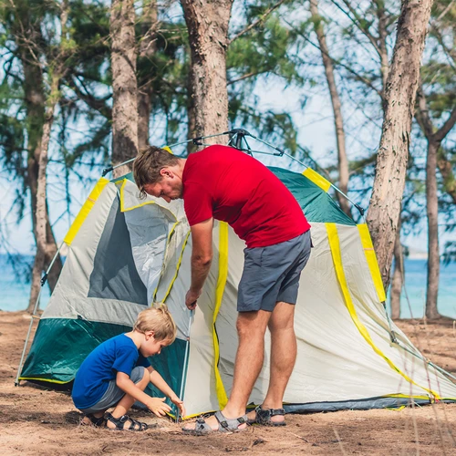 Sirged telgivaiad - 10 tk. - 8