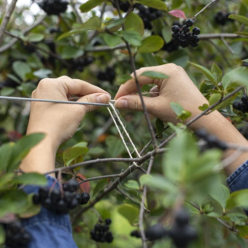 Sisalnöör 1,8 mm/115 m/250 g - 7