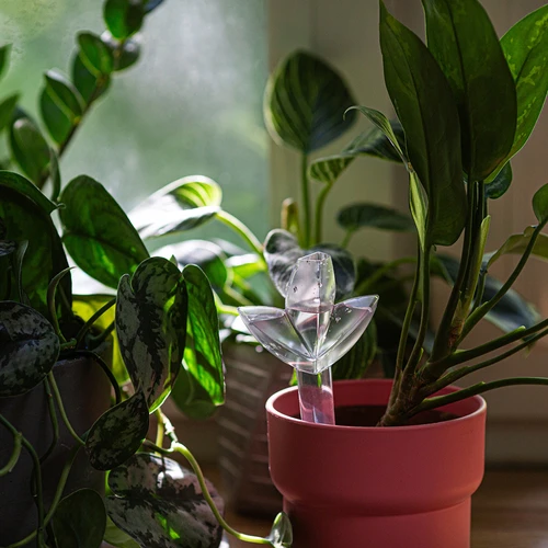 Taimede isekastja – läbipaistev leheke keraamilise koonusega, 120 ml - 9