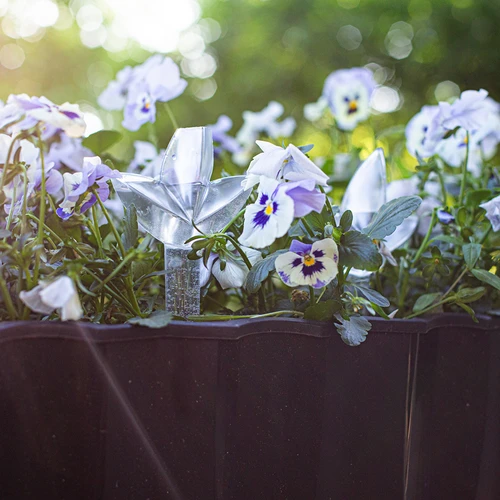 Taimede isekastja – läbipaistev leheke keraamilise koonusega, 120 ml - 11