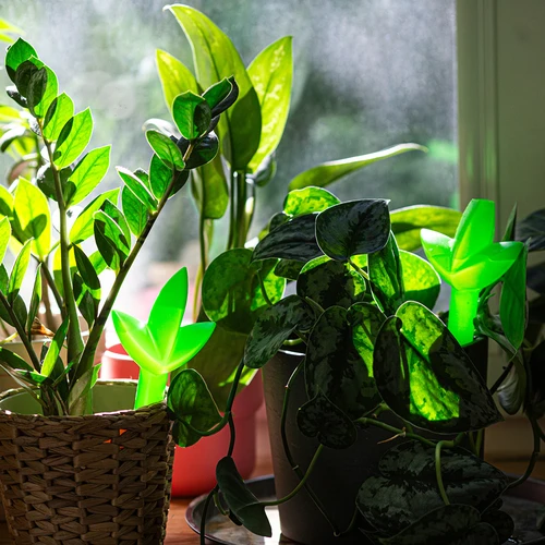 Taimede isekastja – roheline leheke, 120 ml - 7