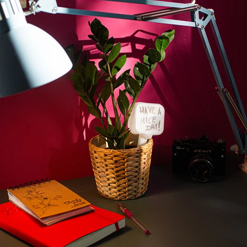 Taimede isekastja – valge tahvel, 200 ml - 11