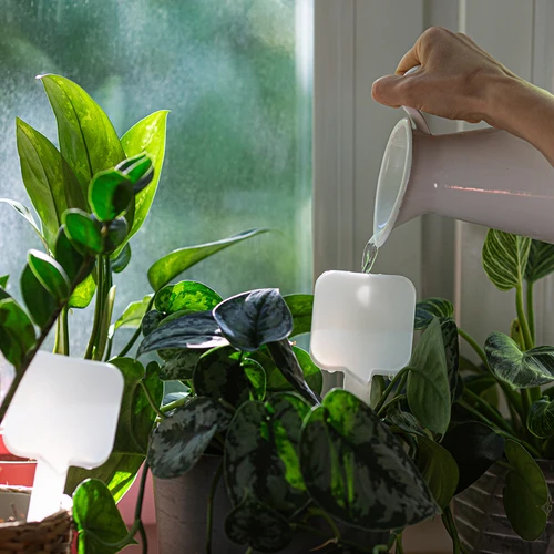 Taimede isekastja – valge tahvel, 200 ml - 8