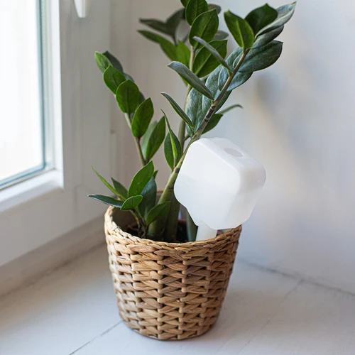 Taimede isekastja – valge tahvel, 200 ml - 9