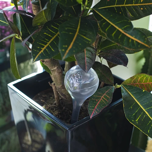 Taimede kastmiskerad, läbipaistvad, 400 ml, 2 tk. - 10