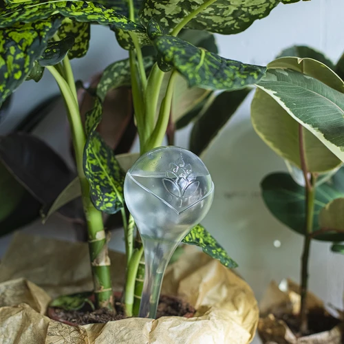 Taimede kastmiskerad, läbipaistvad, 400 ml, 2 tk. - 11