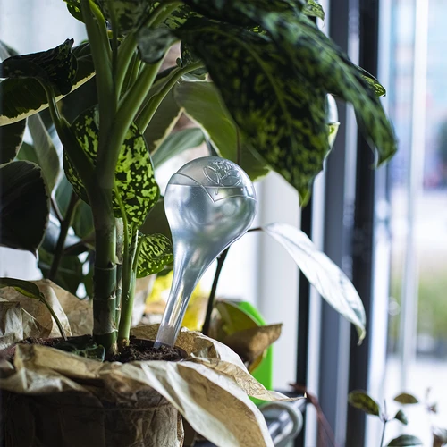 Taimede kastmiskerad, läbipaistvad, 400 ml, 2 tk. - 12