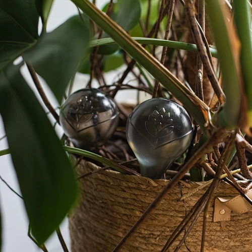 Taimede kastmiskerad, läbipaistvad mustad, 400 ml, 2 tk. - 14