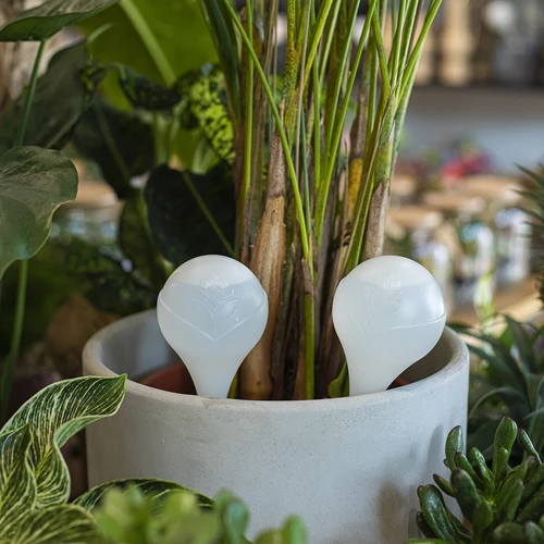 Taimede kastmiskuul, matt valge, keraamilise jalaga, 400 ml - 9