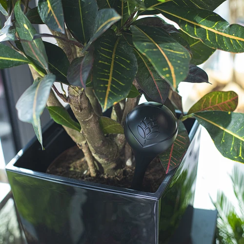 Taimede kastmiskuulid, mattmustad, 400 ml, 2 tk. - 10