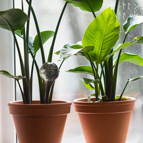 Taimede kastmiskuulid, mustad läbipaistvad, 400 ml, 4 tk. - 8